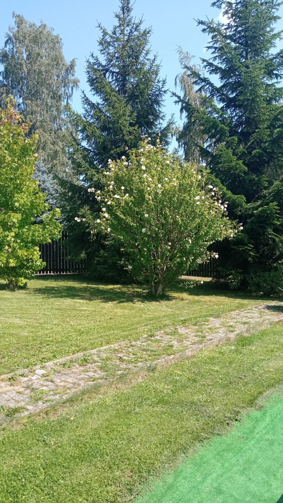 Chata Lazne Evzenie Klášterec nad Ohří Buitenkant foto